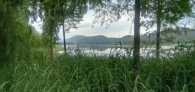 流量到底是怎么赚钱的（流量是怎么赚钱的_）