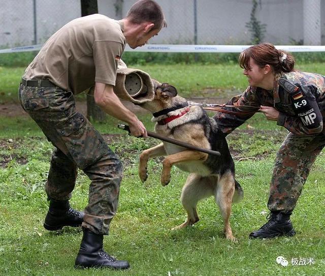 k9都要做什么，k9都要做什么字母圈？