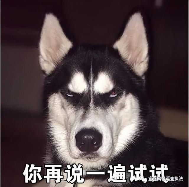 免费进微信红包群的软件（免费进微信红包群2022）