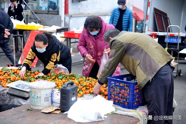 芹菜价格最新行情（芹菜价格表今日价格）