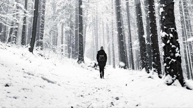 抖音很火的一首雪的歌词是什么歌，抖音很火的一首雪的歌词叫什么？