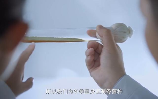 厨邦酱油广告代言人（厨邦酱油广告视频）