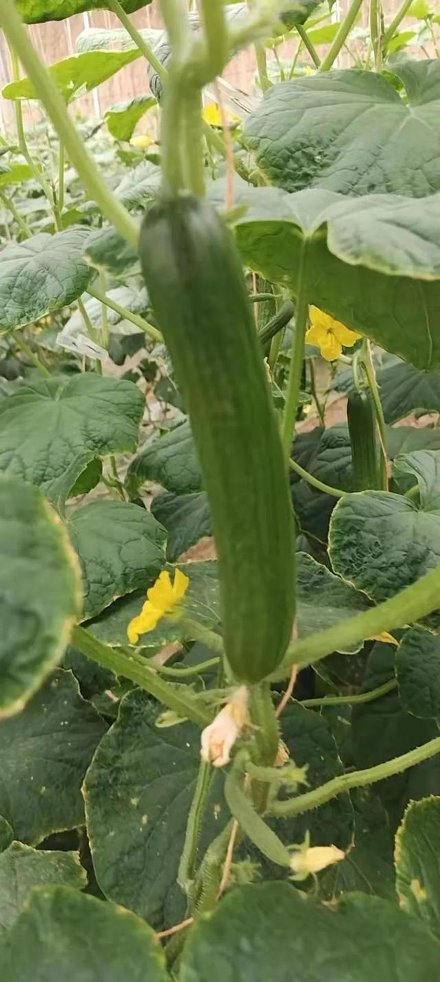 疫情期间做什么生意比较好赚钱大龄下岗人的，现在疫情期间做什么生意好？