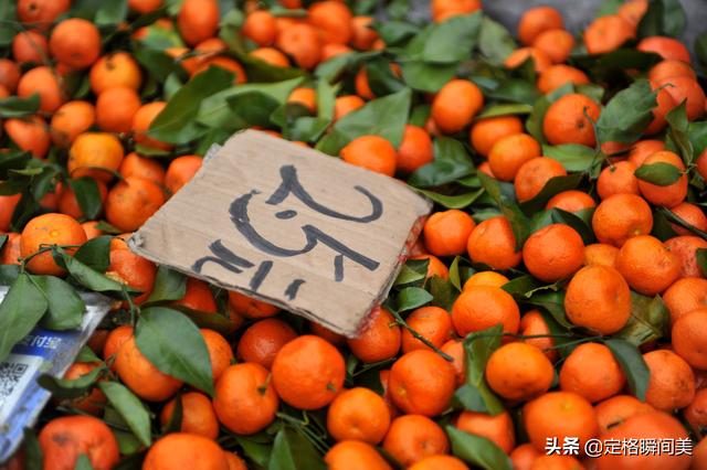 芹菜价格最新行情（芹菜价格表今日价格）