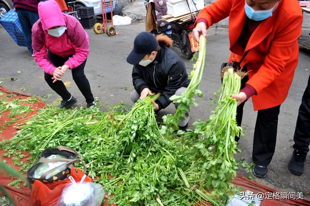芹菜价格最新行情（芹菜价格表今日价格）