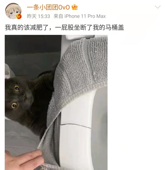 团团直播间哪里看，小团团斗鱼直播间？