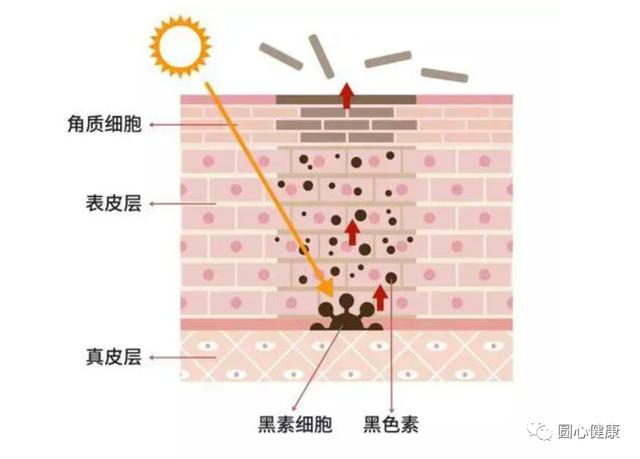 全身美白的医美项目价格，医美全身美白多少钱？