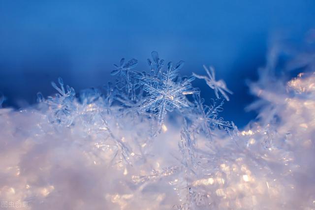 抖音很火的一首雪的歌词是什么歌，抖音很火的一首雪的歌词叫什么？