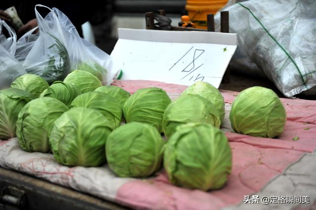 芹菜价格最新行情（芹菜价格表今日价格）