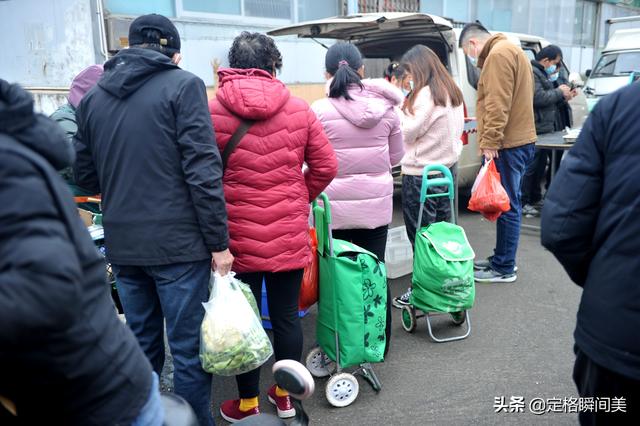 芹菜价格最新行情（芹菜价格表今日价格）