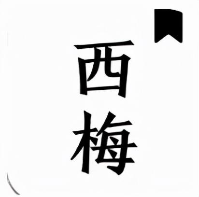 没有广告的免费阅读小说软件苹果（没有广告的免费阅读小说软件下载）
