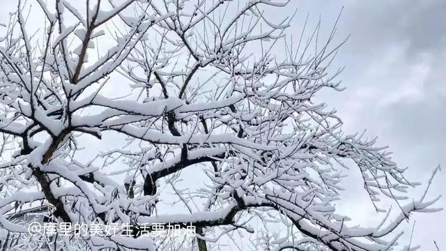 一些不起眼但是很暴利的项目叫什么，一些不起眼但是很暴利的项目叫什么名字