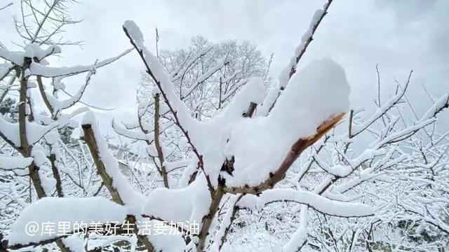 一些不起眼但是很暴利的项目叫什么，一些不起眼但是很暴利的项目叫什么名字