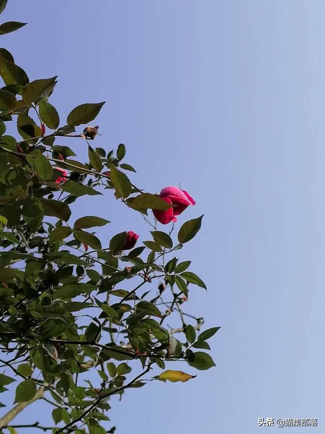 钓鱼发朋友圈写什么搞笑话，适合朋友圈钓鱼的搞笑说说？