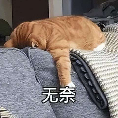 快手小铃铛赚钱是真的吗，快手小铃铛赚钱是真的吗知乎？