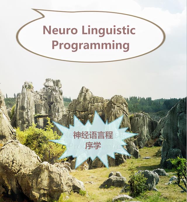 神经语言程序学pdf（人类神经语言程序学）