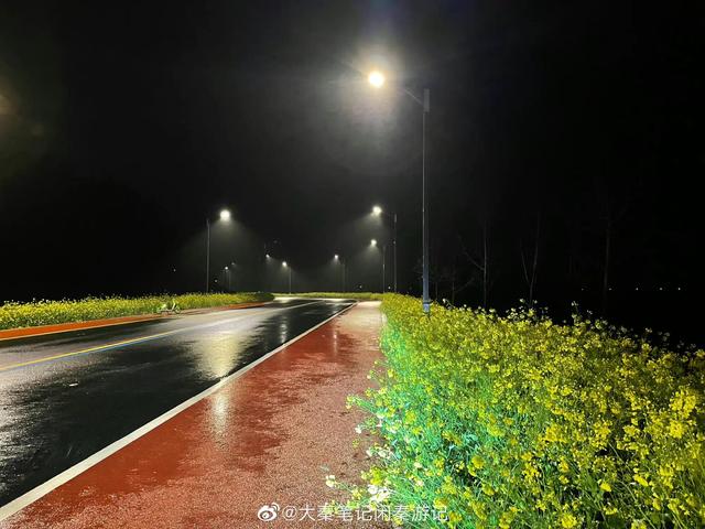 项目介绍的内容模板怎么写，项目介绍的内容模板怎么写范文？