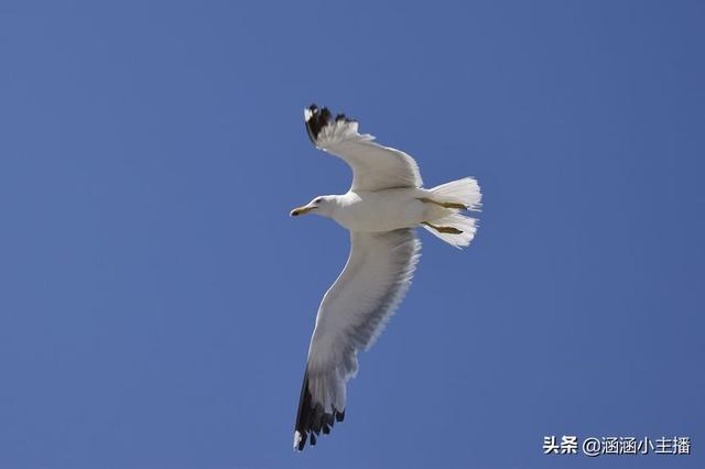 作文题记格式怎么写图片（题记格式咋写）