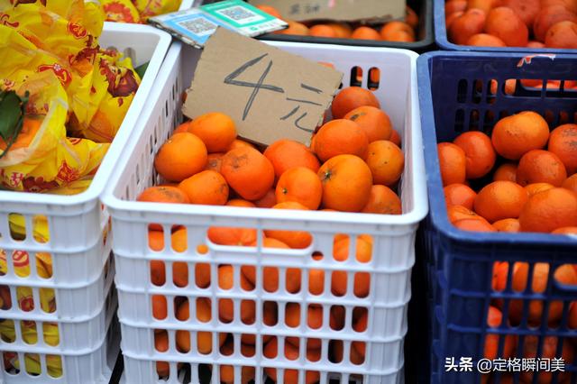 芹菜价格最新行情（芹菜价格表今日价格）