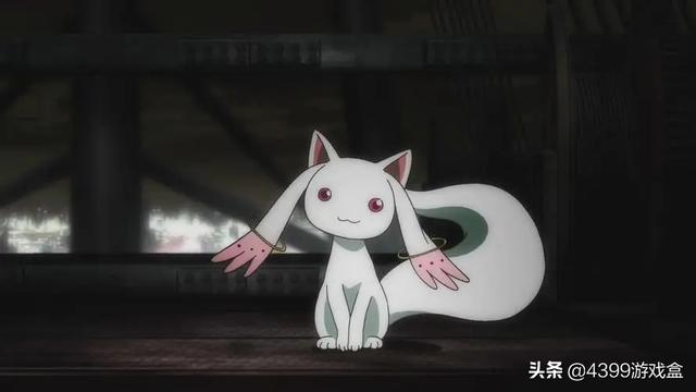 悬赏猫app苹果和安卓通用吗，悬赏猫app苹果叫什么？
