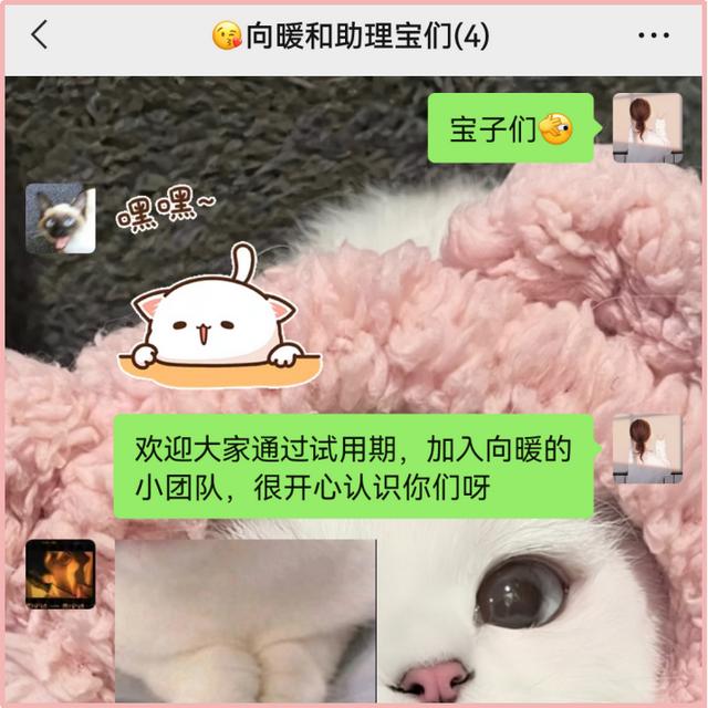码字赚钱的兼职，兼职赚取稿费？